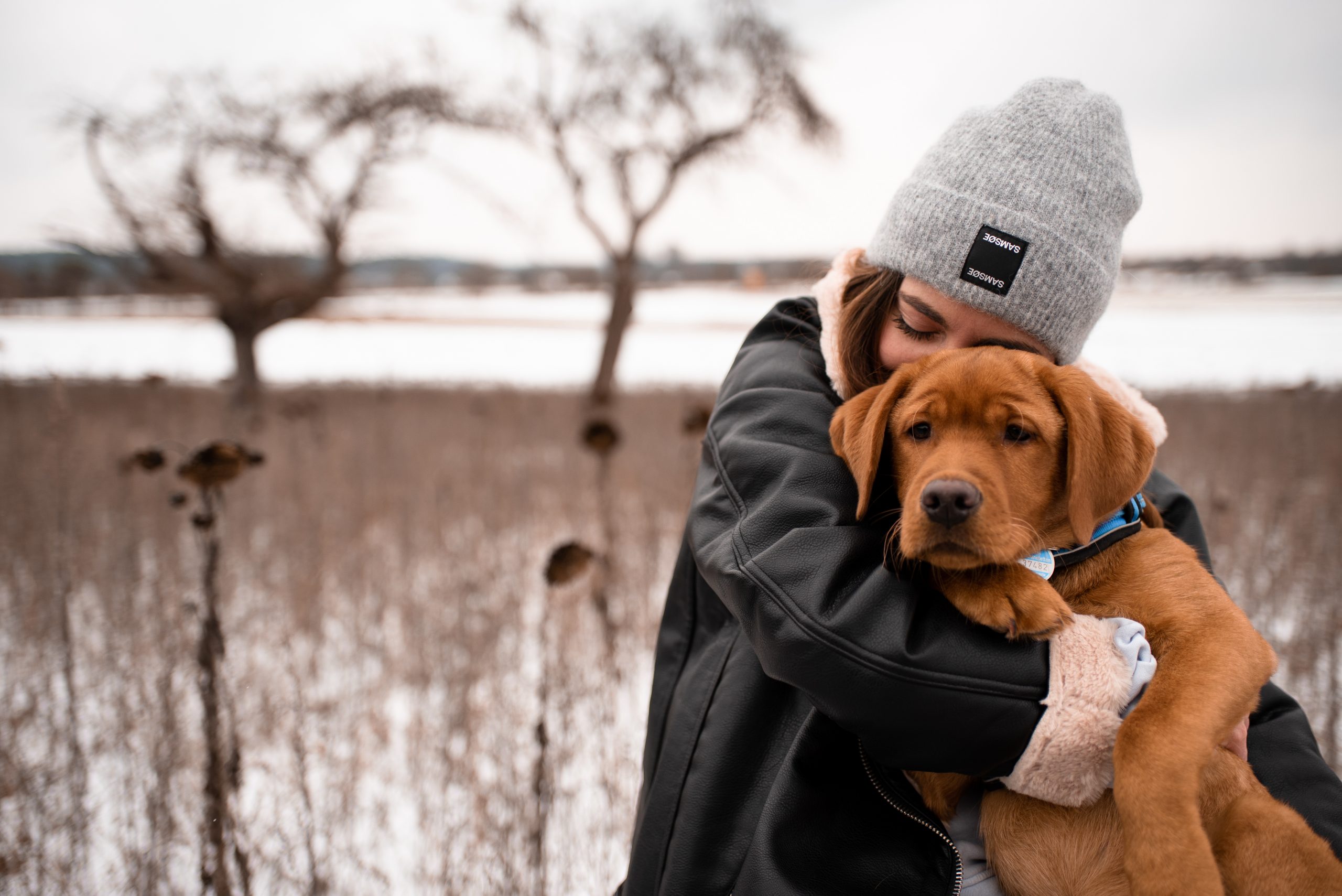 Paarfotos im Schnee mit Hund